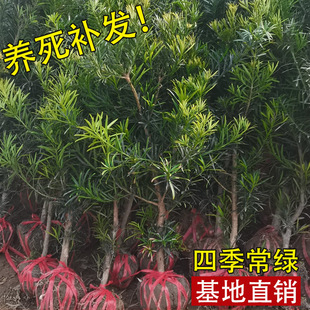 �_�h�ɘ����辰С�~ȸ������ͥԺ���Ե��Դ�����͘䘶���F�G����