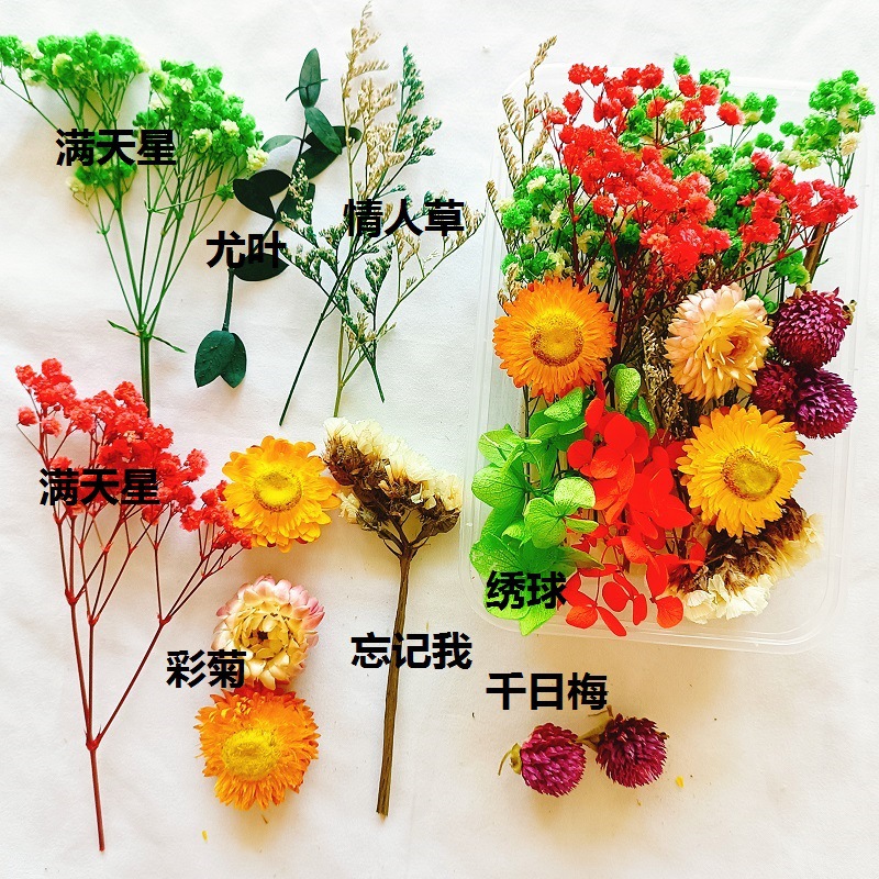 Festival bricolaje hecho a mano material de flor eterna planta flor seca florero flotante aromaterapia flor seca abanico de material paquete al por mayor