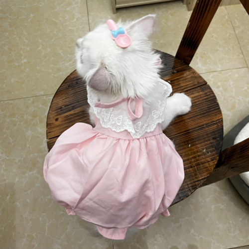 Cat dress, summer thin version, cute princess dress, backless, stuffed animal, Teddy, kitten, small dog, pet clothing