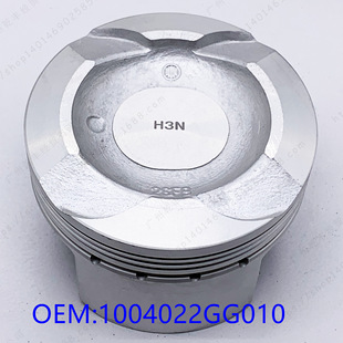 �m��� ����ͬ�� 1.3VVT �������� 1004022GG010 PISTON