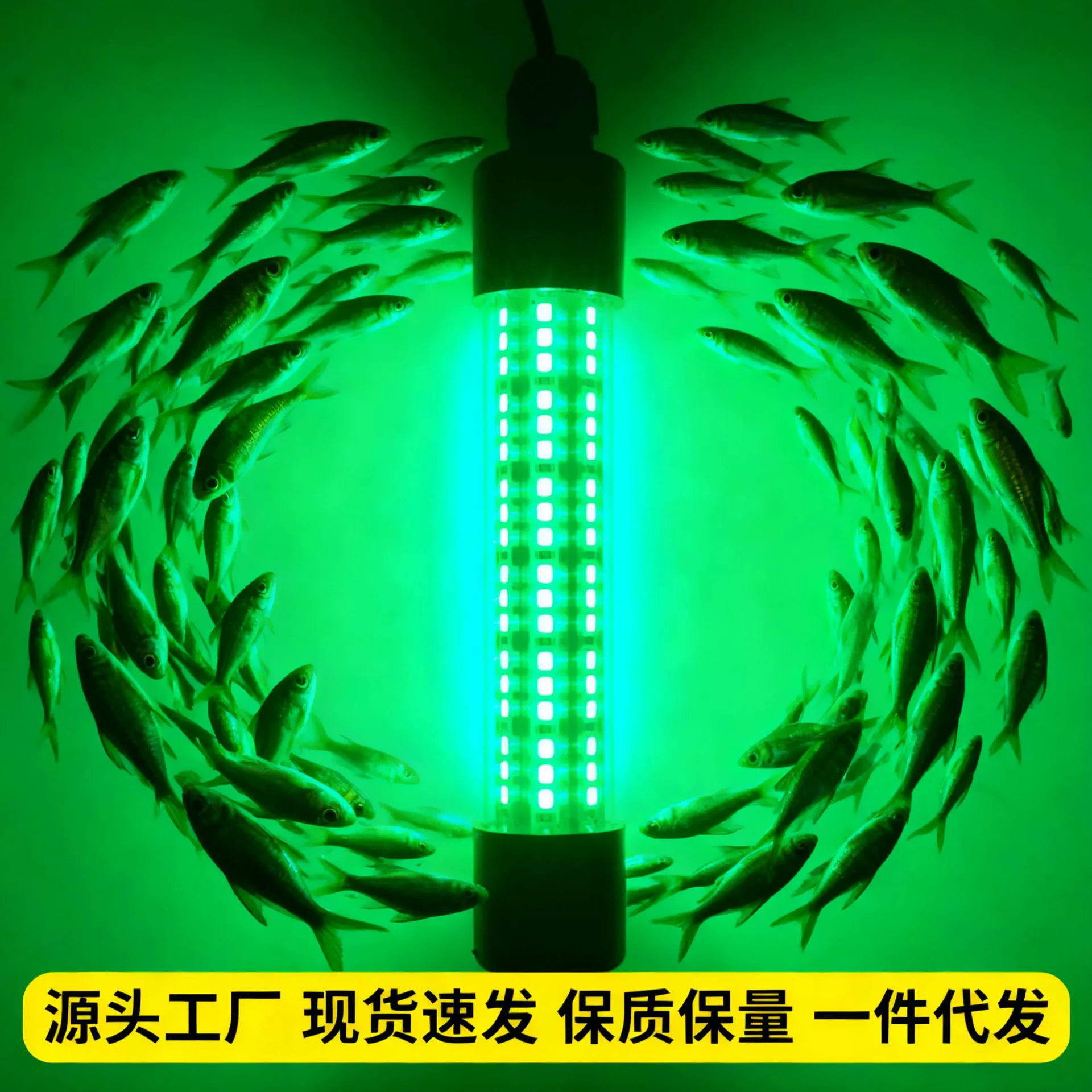 Оптовая продажа: 12В светодиодный светильник для привлечения рыбы, высокой яркости, уличный, водонепроницаемый IP68, подводный светильник для быстрого привлечения рыбы