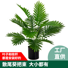 软胶绿植铁树叶欧式客厅装饰散尾葵盆栽室内落地凤尾葵绿植批发