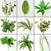 �羳ֲ��ٻ���ֲ��Gֲ�҃����b��������ԼپG�}С���Ի���