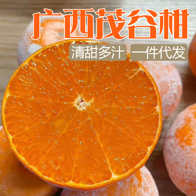 High-Quality Fresh-Picked Large Fruits from Wuming Maogu, Guangxi: Dirty Oranges, Lime Oranges, Seasonal Fruits, Oranges