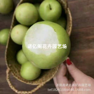 ���������̨�r13̖ѩ���ۗ����۽z���O��ţ�̗��޽ӹ��䮔��Y��