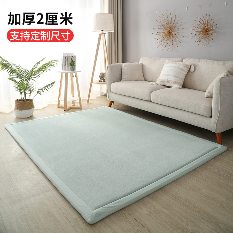2cm Coral Fleece Living Room Carpet Thickened Modern Simple Bedroom Bedside Mat Coffee Table Sofa Full Carpet