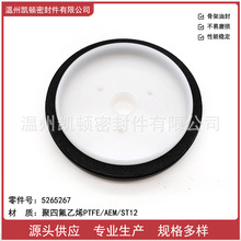 SֱN Sͷ  ˹2.8LlәC  ̖5265267 ķͷ