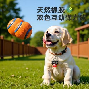 �羳������� �Ώ���ҧ���� �l���˽␞��ҧ�W��ĥ��ӖȮ����