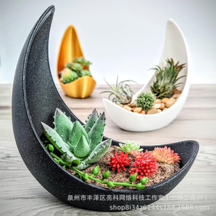 �����������ͻ��裬�F���Ҿ��b��Nֲ����ֲ�Ʒ�|����؂䡣