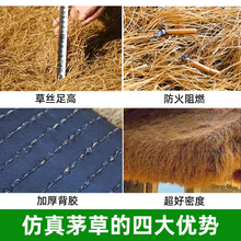 ?����é��������쵾�ݾ��^�b�ͤ�ٲ�Ƥ�͹�ʽé����é��