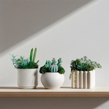 创意可爱多肉植物盆栽带盆小绿植花卉客厅室内桌面装饰品摆件