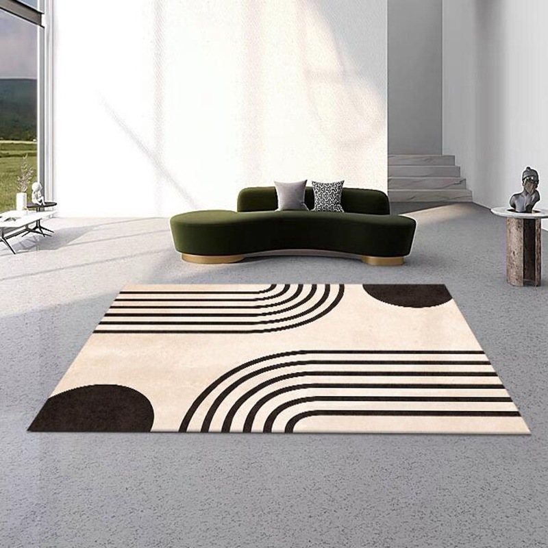 modern and minimalistic creative carpet for living room for home use
