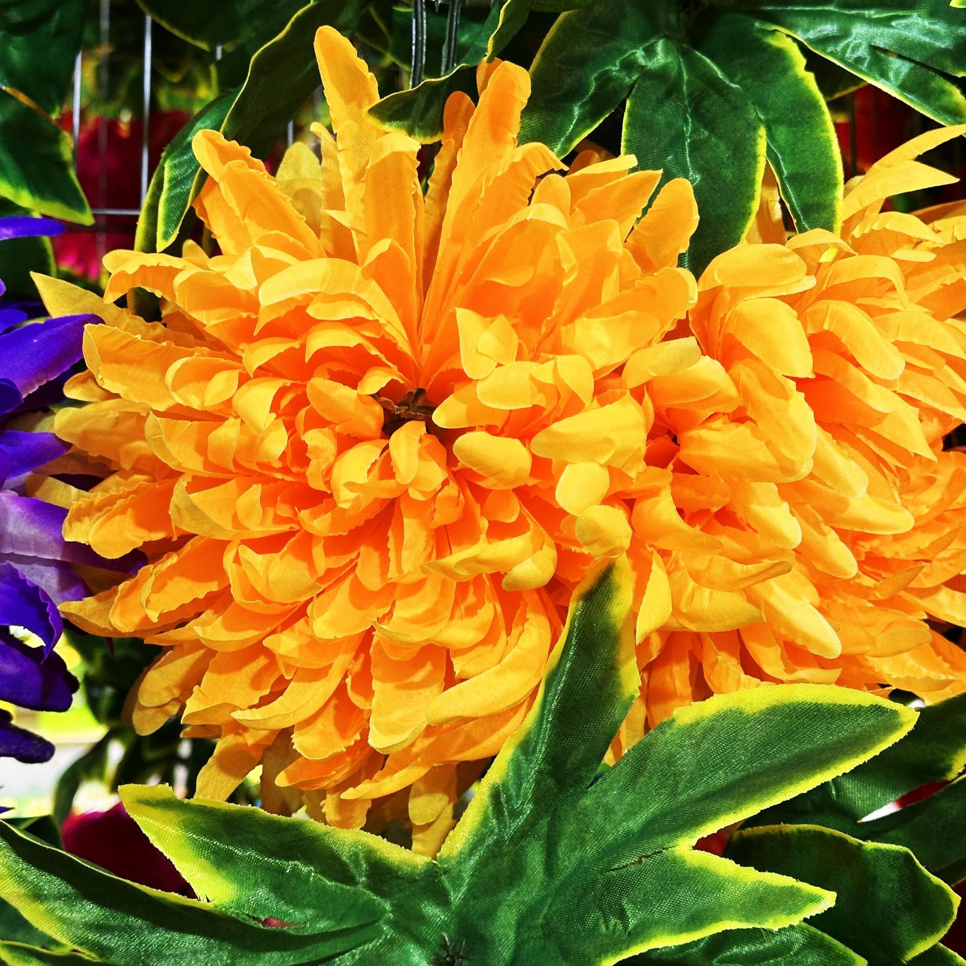 Yellow, 2.5meter