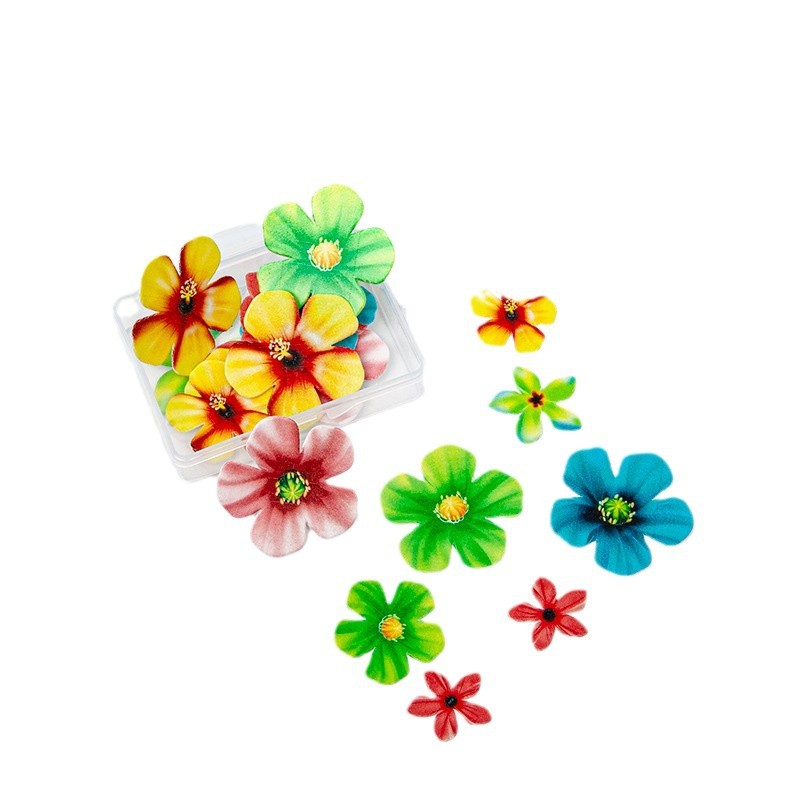 Especial transfronterizo para decoración de papel de arroz glutinoso, decoración de pastel de flores, decoración de papel de barnizado, decoración de horneado de mariposa en caja