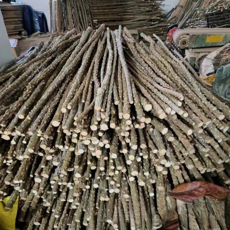 花椒木野生花椒木鹩哥八哥画眉鹦鹉鸟站棍站杆磨爪棍杠成年