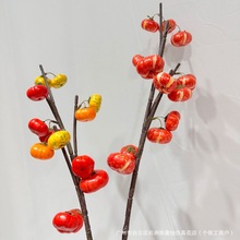 С�ϹϹ������ӻ�ˇ�OӋ�쾰���üҾӔ[���Ĕz���ߝ{������[��