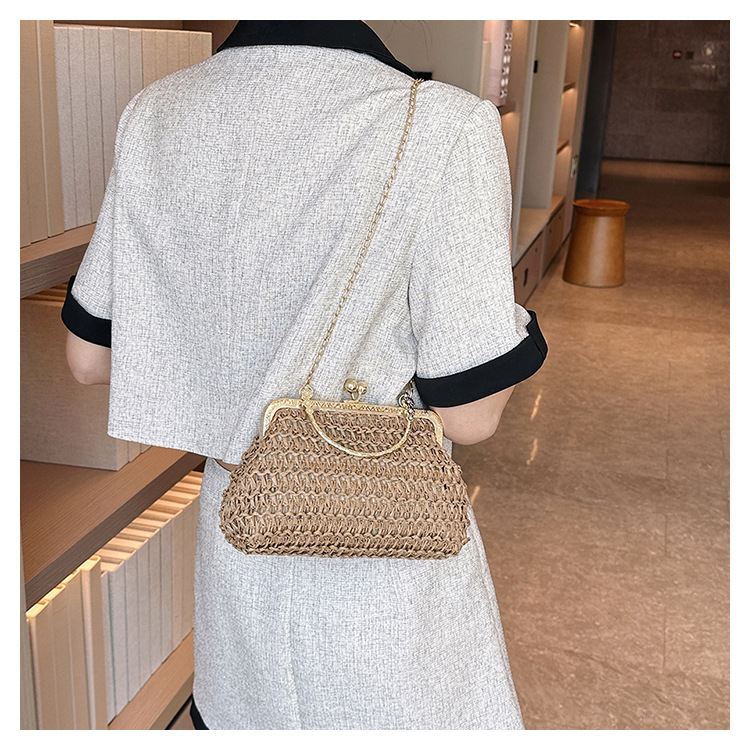 Women's Small All Seasons Straw Streetwear Handbag Straw Bag display picture 2