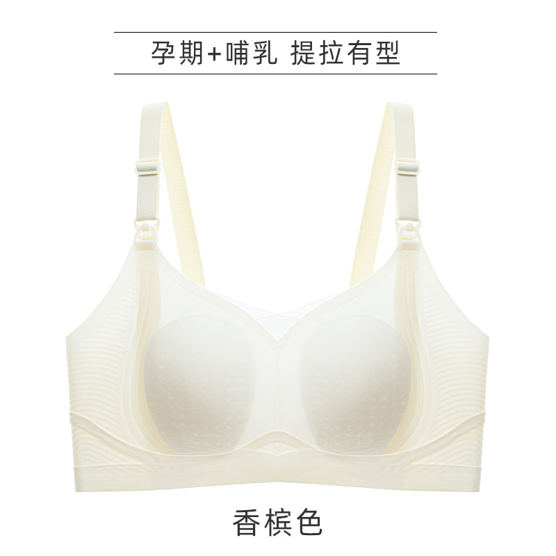 샴페인