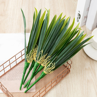 ����Gֲ���m�~�����m��ݼٻ��廨�Gֲ�Ҿ��b�С�~�ӏS�����l