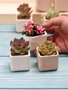 ֲСԎ莧ֲ҃ȾGֲֺB]