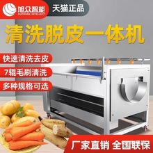旭众商用削皮清洗机土豆芋头猪头猪脚萝卜去皮机莲藕马铃薯生姜