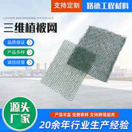 三维植被网厂家直供土工网垫护坡绿化植草固土护坡三维土工网垫