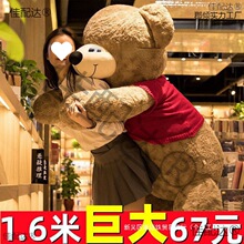 ��ż����̩���ܰ��]������ë�q��߲�����������̖������؈