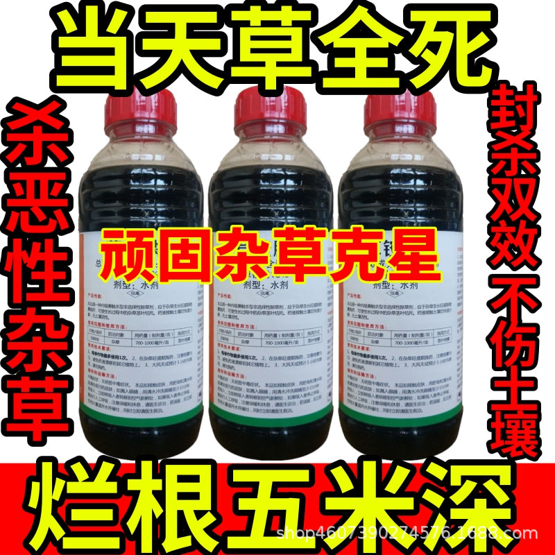 当天草全死精草铵膦铵盐除草草安草铵磷草胺磷除牛筋草小飞蓬农药