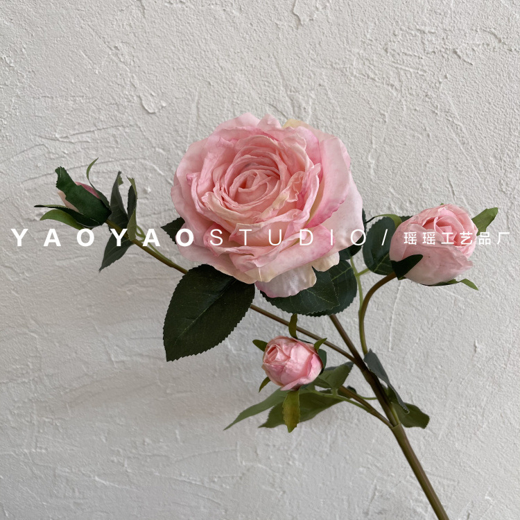 微信图片_20210519201018(1)