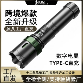 手电筒;头灯头戴电筒;提灯