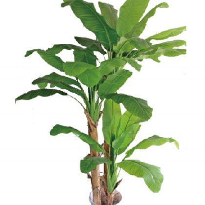 Árbol de plátano de simulación personalizado Árbol de plátano de simulación de venta caliente de Amazon Árbol de plátano de simulación de tiro de boda