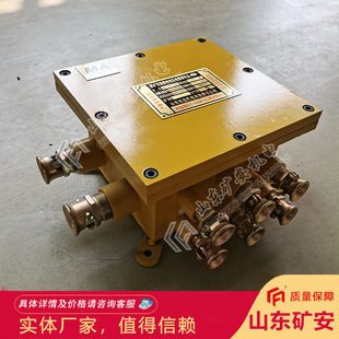 16-Way Explosion-Proof Low-Voltage Cable Explosion-Proof Junction Box with Good Stability Mining Cable Connection Sealing Box
