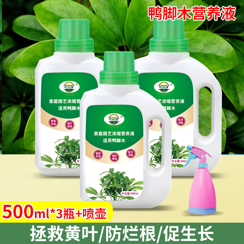 鸭脚木专用营养液500ml*3瓶+喷壶