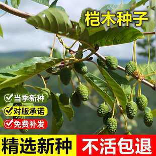 �����²ɘ�ľ�N��ˮ���Ϙ�ˮ���L�����ͺ��͸ɺ���ؚ��ľ��N��