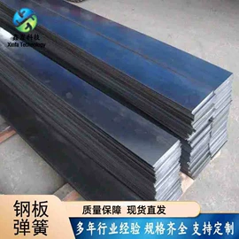 片弹簧;板弹簧;不锈钢带