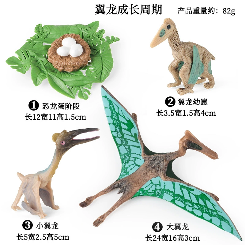 Cognitive realistic marine animal model, dinosaur, toy