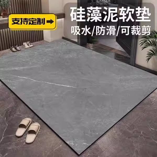 入户门地垫简约高级感进门吸水防滑垫玄关耐脏脚垫速干硅藻泥地垫