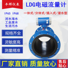 防爆LDG电磁污水流量计 316L不锈钢卫生级水表