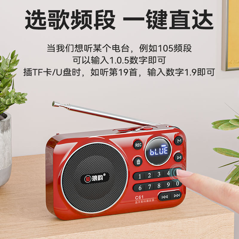 琅韵C61蓝牙插卡音响 便携式老年机 听戏机扩音器 音频播放器|undefined