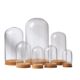 Cross-border Eternal Flower Dust Cover Clay Wool Felt Hand-made Blind Box Storage diy Cork Dried Flower Glass Cover