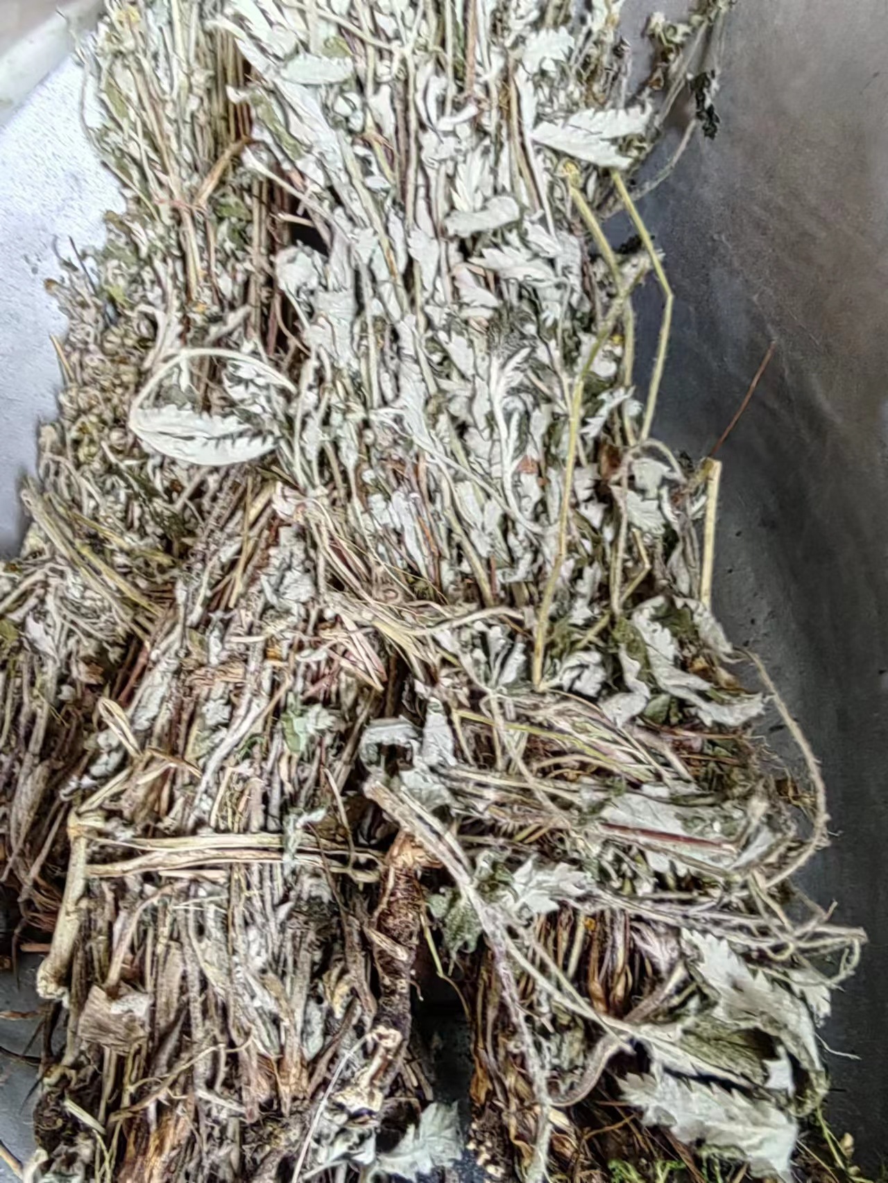 Fan Bai Cao (Potentilla discolor) — Dried Food Herb, Ultra-Fine Powder & Cut Form key features