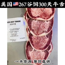 ����267���300��ţ��969����˹����ţ��ţ�ڗl��ţ����П��B