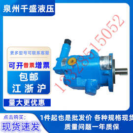 邵阳维克液压泵PVB29-RSW-20-C-11-PRC威格仕行走机械马达柱塞泵