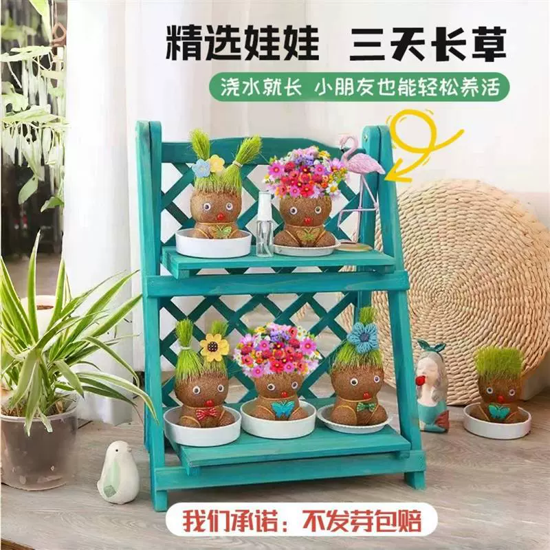 Grass doll blooming cute long grass cat grass green plant small potted grass doll indoor children creative hydroponics