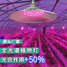 大棚led植物灯 生长灯 多肉补光灯 花卉盆栽育苗植物大功率补光灯