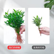 �ش����ظ����ˮ��ˮ�Bֲ��͏d�k���҃��ļ�����Gֲ����x��