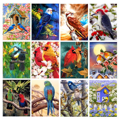 5D钻石画小鸟diy风景组合圆钻满钻鹦鹉钻石绣装饰画30*40|ms