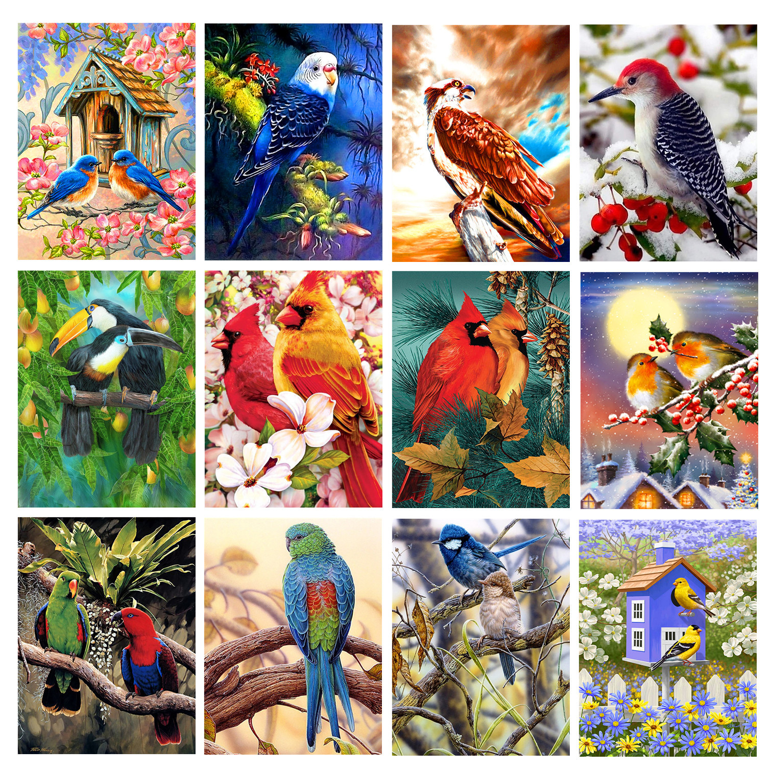 5D钻石画小鸟diy风景组合圆钻满钻鹦鹉钻石绣装饰画30*40|ms