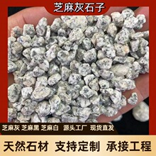 芝麻灰石子黑白点石子灰色砾石水洗石芝麻黑试用园林铺路建筑工程