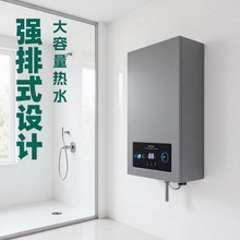 恒温燃气热水器家用洗澡天然气液化气煤气QT02